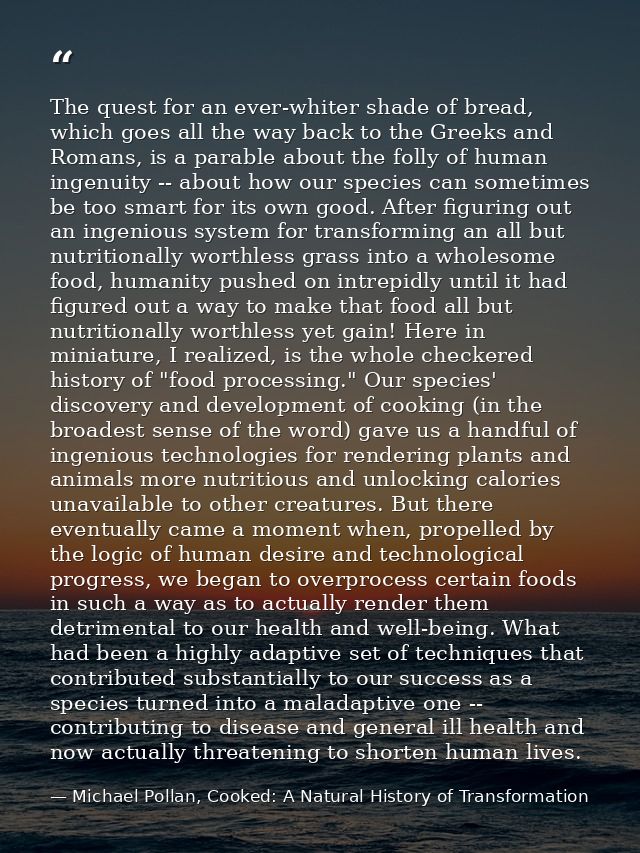 The quest for an ever-whiter shade of bread, which goes all the way back to the Greeks and Romans, is a parable about th — Michael Pollan, Cooked: A Natural History of Transformation