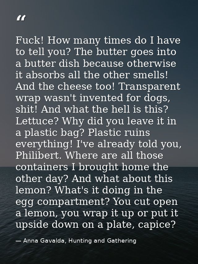 Fuck! How many times do I have to tell you? The butter goes into a butter dish because otherwise it absorbs all the othe — Anna Gavalda, Hunting and Gathering