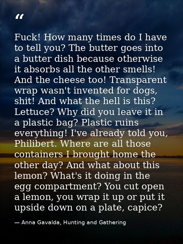 Fuck! How many times do I have to tell you? The butter goes into a butter dish because otherwise it absorbs all the othe — Anna Gavalda, Hunting and Gathering