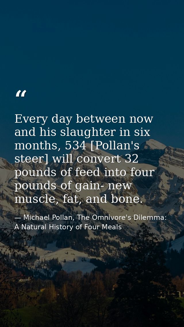 Every day between now and his slaughter in six months, 534 [Pollan's steer] will convert 32 pounds of feed into four pou — Michael Pollan, The Omnivore's Dilemma: A Natural History of Four Meals