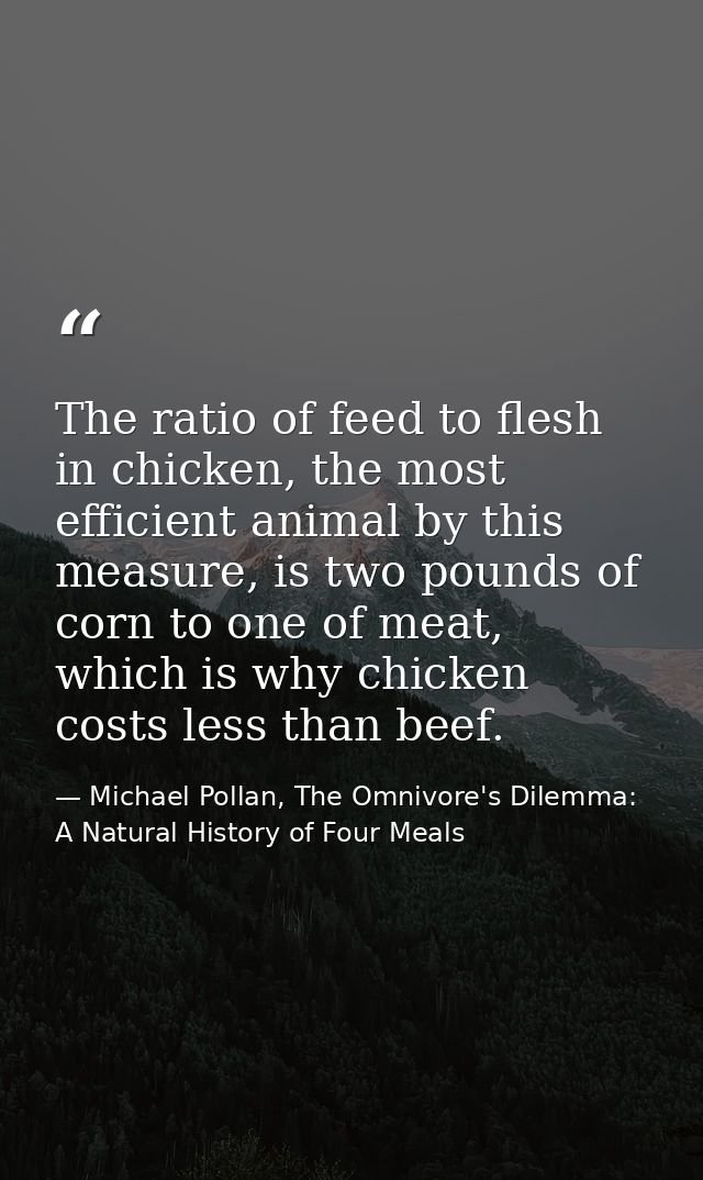 The ratio of feed to flesh in chicken, the most efficient animal by this measure, is two pounds of corn to one of meat,  — Michael Pollan, The Omnivore's Dilemma: A Natural History of Four Meals