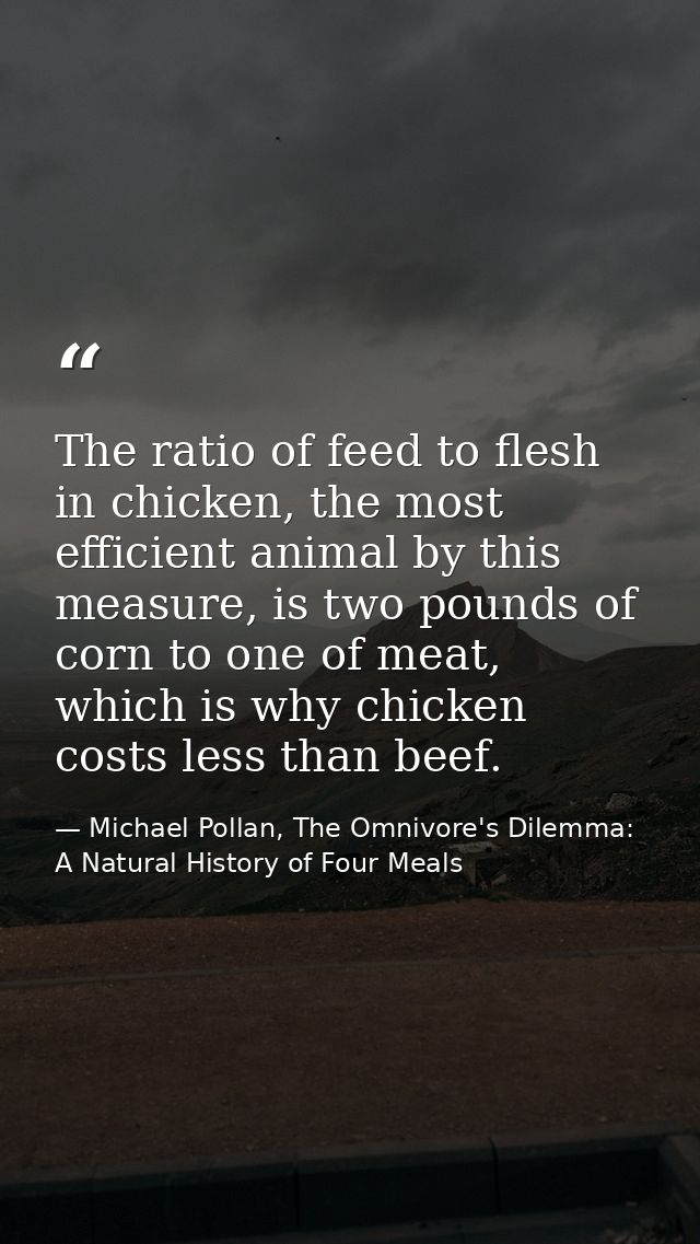 The ratio of feed to flesh in chicken, the most efficient animal by this measure, is two pounds of corn to one of meat,  — Michael Pollan, The Omnivore's Dilemma: A Natural History of Four Meals