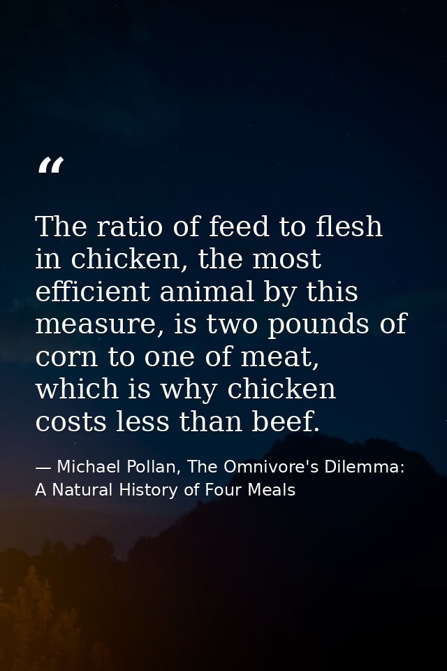 The ratio of feed to flesh in chicken, the most efficient animal by this measure, is two pounds of corn to one of meat,  — Michael Pollan, The Omnivore's Dilemma: A Natural History of Four Meals
