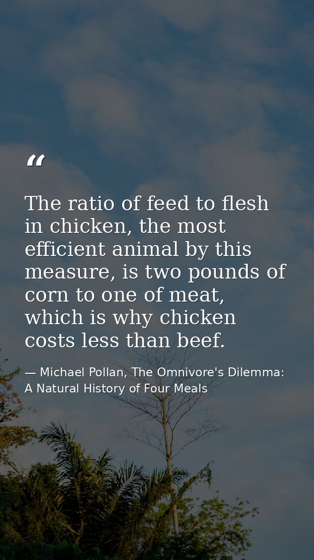 The ratio of feed to flesh in chicken, the most efficient animal by this measure, is two pounds of corn to one of meat,  — Michael Pollan, The Omnivore's Dilemma: A Natural History of Four Meals