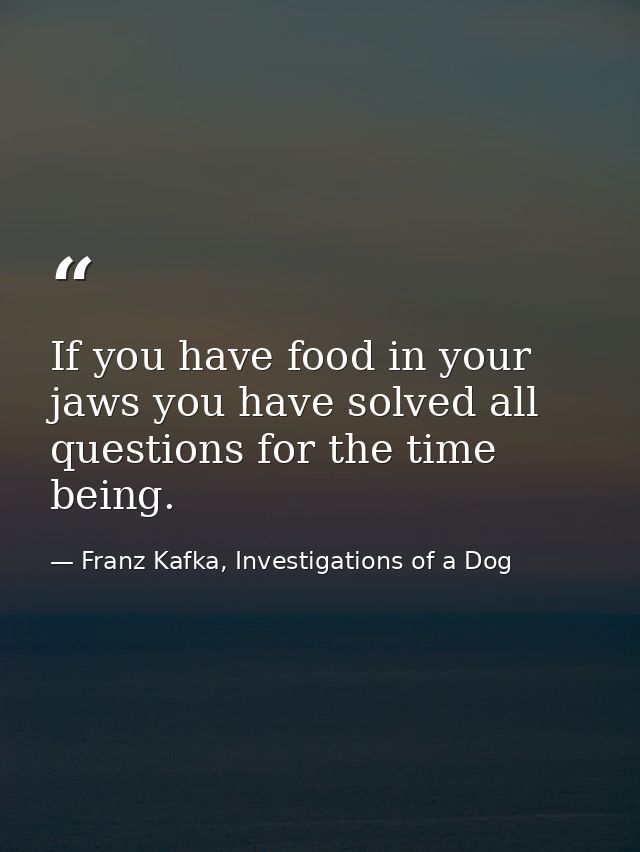 If you have food in your jaws you have solved all questions for the time being. — Franz Kafka, Investigations of a Dog