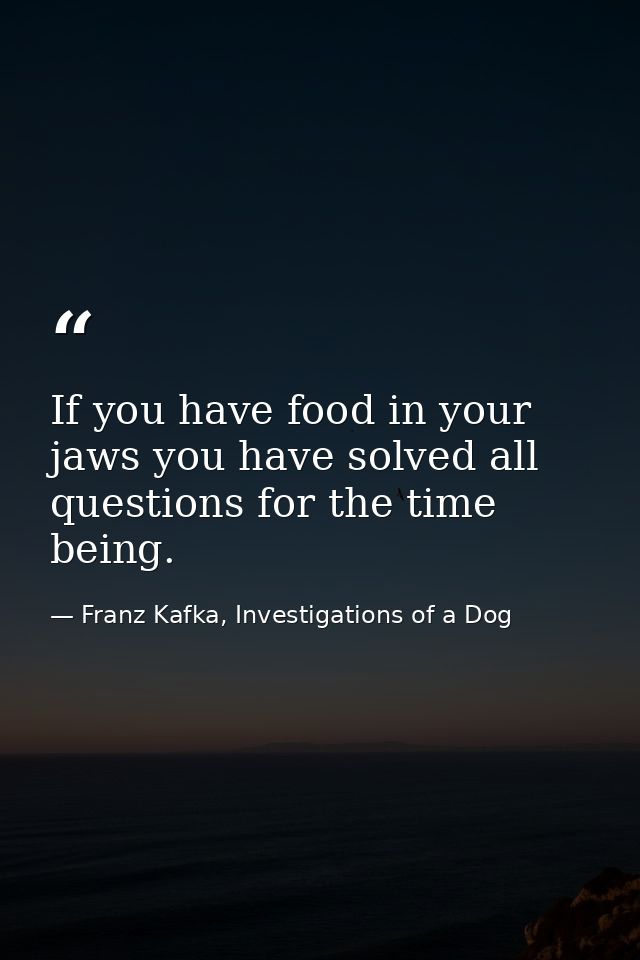 If you have food in your jaws you have solved all questions for the time being. — Franz Kafka, Investigations of a Dog