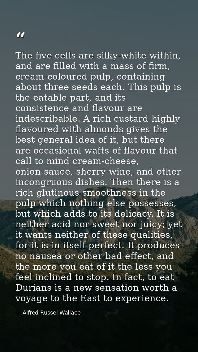 The five cells are silky-white within, and are filled with a mass of firm, cream-coloured pulp, containing about three s — Alfred Russel Wallace