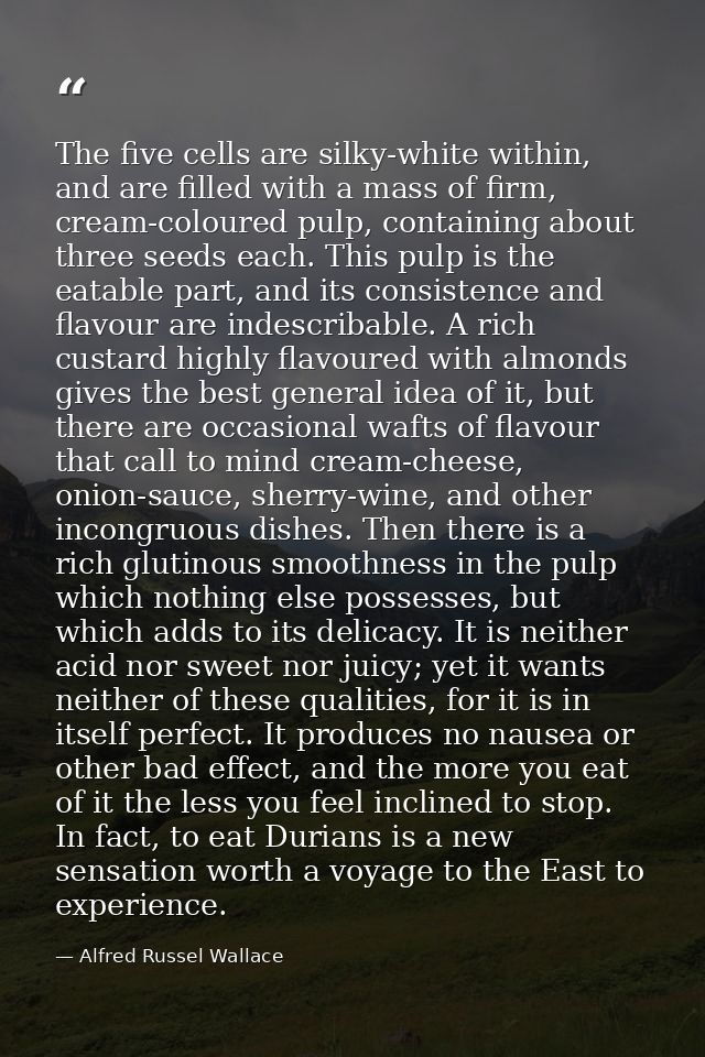 The five cells are silky-white within, and are filled with a mass of firm, cream-coloured pulp, containing about three s — Alfred Russel Wallace