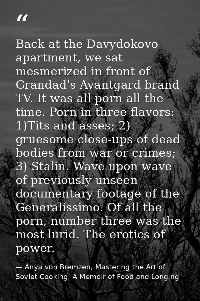 Back at the Davydokovo apartment, we sat mesmerized in front of Grandad's Avantgard brand TV. It was all porn all the ti — Anya von Bremzen, Mastering the Art of Soviet Cooking: A Memoir of Food and Longing