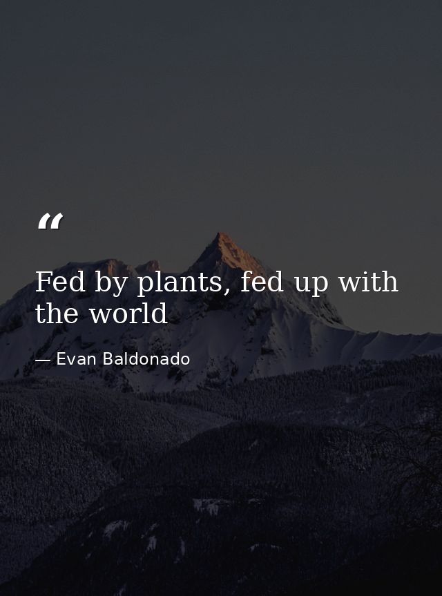 Fed by plants, fed up with the world — Evan Baldonado