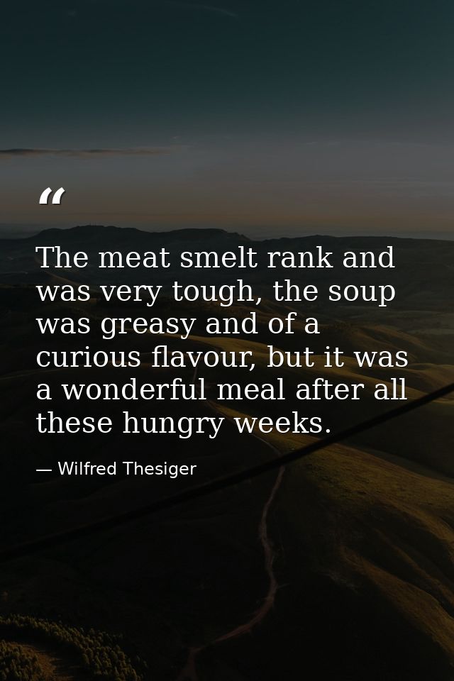 The meat smelt rank and was very tough, the soup was greasy and of a curious flavour, but it was a wonderful meal after  — Wilfred Thesiger