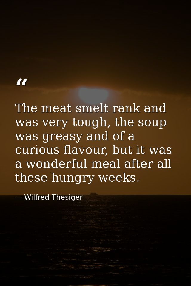 The meat smelt rank and was very tough, the soup was greasy and of a curious flavour, but it was a wonderful meal after  — Wilfred Thesiger