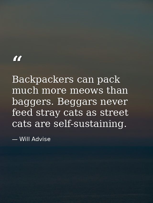 Backpackers can pack much more meows than baggers. Beggars never feed stray cats as street cats are self-sustaining. — Will Advise