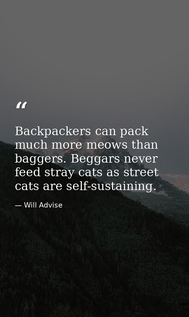 Backpackers can pack much more meows than baggers. Beggars never feed stray cats as street cats are self-sustaining. — Will Advise