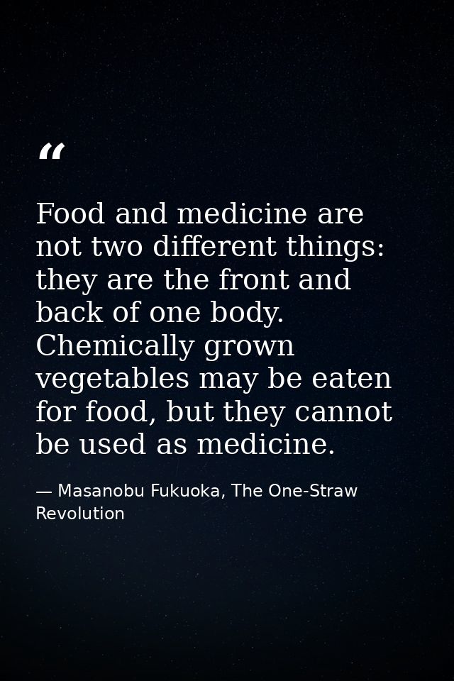 Food and medicine are not two different things: they are the front and back of one body. Chemically grown vegetables may — Masanobu Fukuoka, The One-Straw Revolution