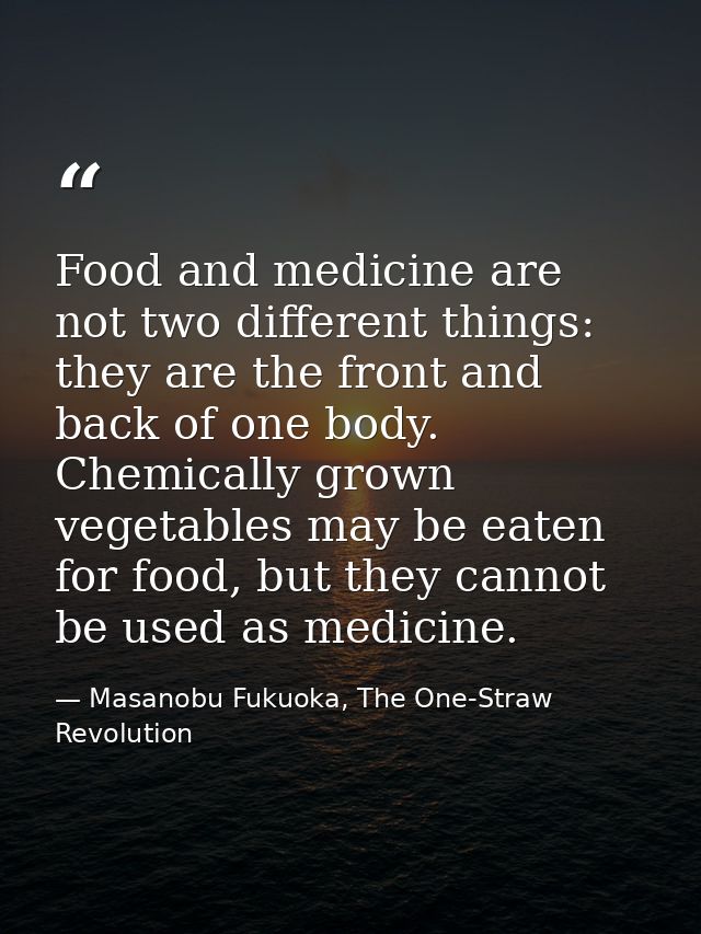 Food and medicine are not two different things: they are the front and back of one body. Chemically grown vegetables may — Masanobu Fukuoka, The One-Straw Revolution