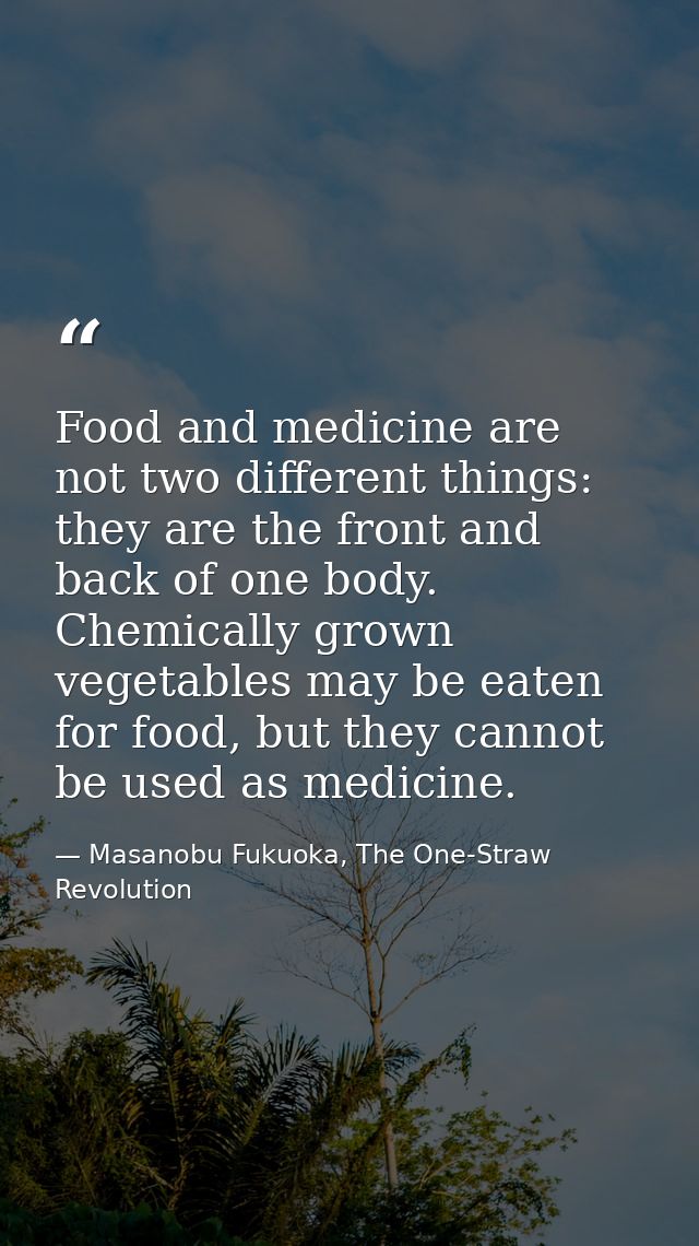 Food and medicine are not two different things: they are the front and back of one body. Chemically grown vegetables may — Masanobu Fukuoka, The One-Straw Revolution