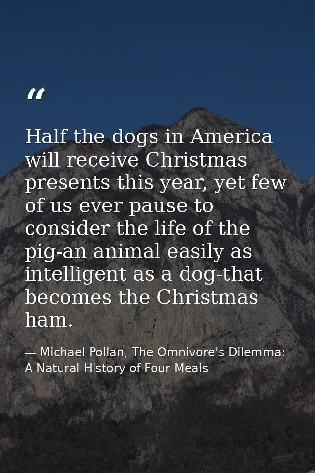 Half the dogs in America will receive Christmas presents this year, yet few of us ever pause to consider the life of the — Michael Pollan, The Omnivore's Dilemma: A Natural History of Four Meals