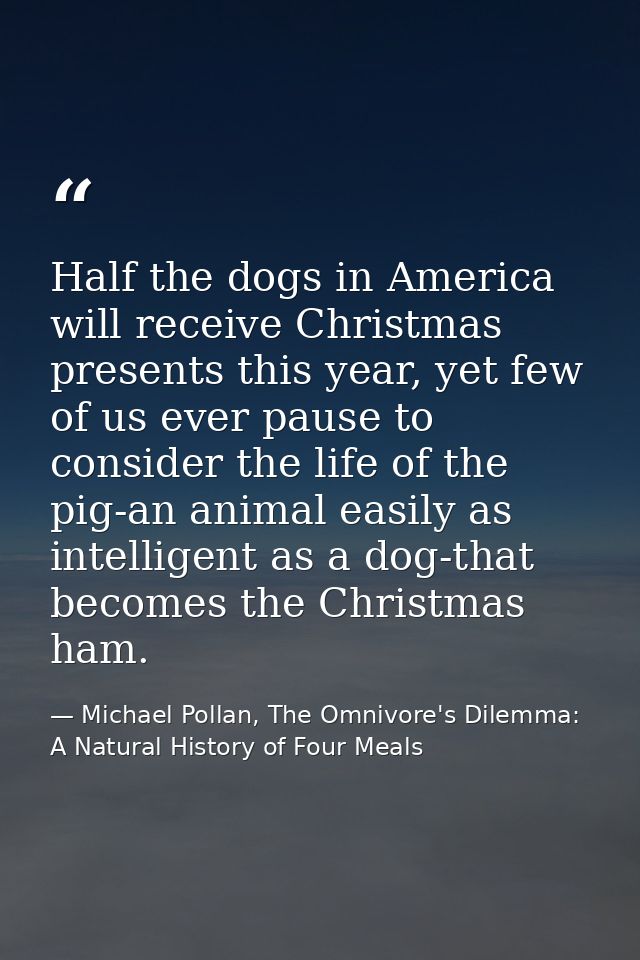 Half the dogs in America will receive Christmas presents this year, yet few of us ever pause to consider the life of the — Michael Pollan, The Omnivore's Dilemma: A Natural History of Four Meals
