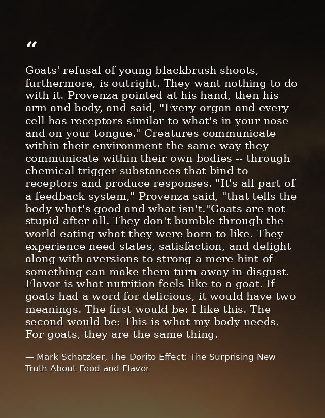 Goats' refusal of young blackbrush shoots, furthermore, is outright. They want nothing to do with it. Provenza pointed a — Mark Schatzker, The Dorito Effect: The Surprising New Truth About Food and Flavor