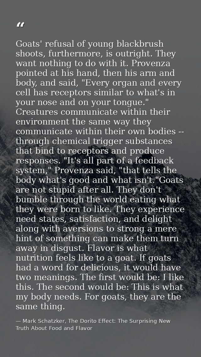 Goats' refusal of young blackbrush shoots, furthermore, is outright. They want nothing to do with it. Provenza pointed a — Mark Schatzker, The Dorito Effect: The Surprising New Truth About Food and Flavor