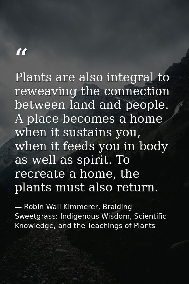Plants are also integral to reweaving the connection between land and people. A place becomes a home when it sustains yo — Robin Wall Kimmerer, Braiding Sweetgrass: Indigenous Wisdom, Scientific Knowledge, and the Teachings of Plants