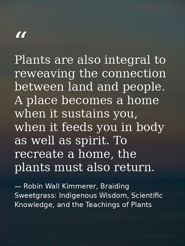 Plants are also integral to reweaving the connection between land and people. A place becomes a home when it sustains yo — Robin Wall Kimmerer, Braiding Sweetgrass: Indigenous Wisdom, Scientific Knowledge, and the Teachings of Plants