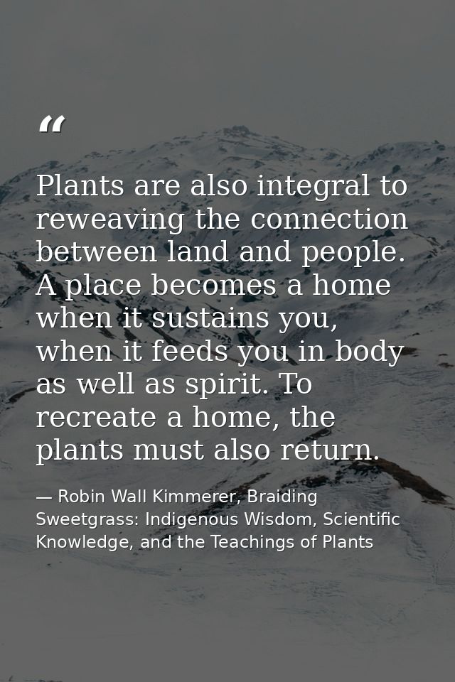 Plants are also integral to reweaving the connection between land and people. A place becomes a home when it sustains yo — Robin Wall Kimmerer, Braiding Sweetgrass: Indigenous Wisdom, Scientific Knowledge, and the Teachings of Plants