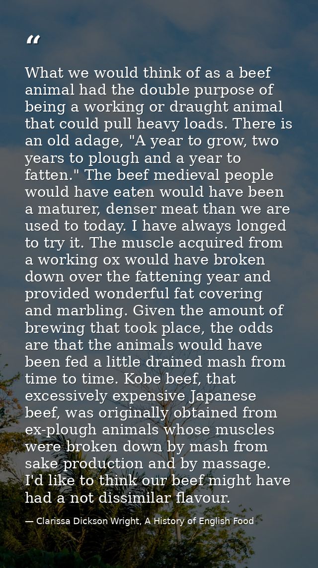 What we would think of as a beef animal had the double purpose of being a working or draught animal that could pull heav — Clarissa Dickson Wright, A History of English Food