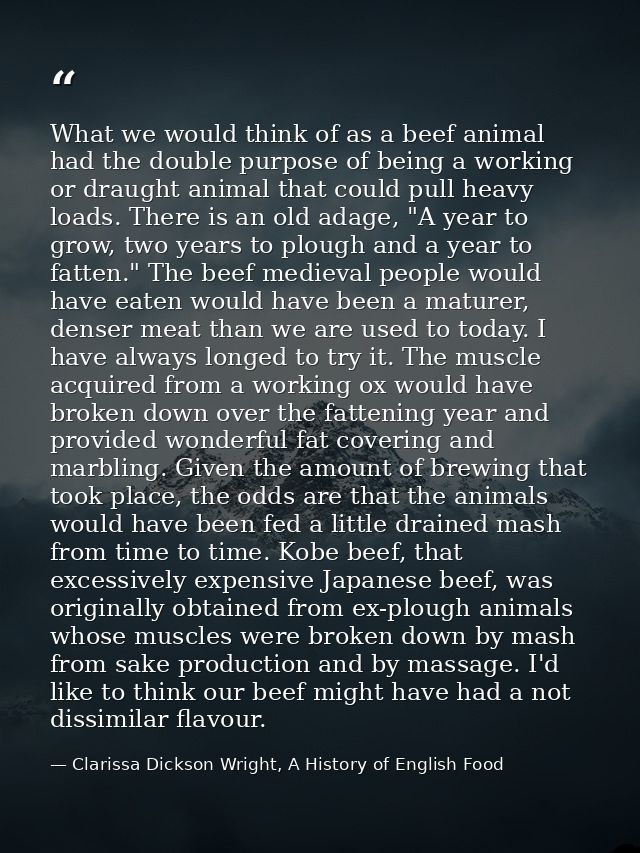 What we would think of as a beef animal had the double purpose of being a working or draught animal that could pull heav — Clarissa Dickson Wright, A History of English Food
