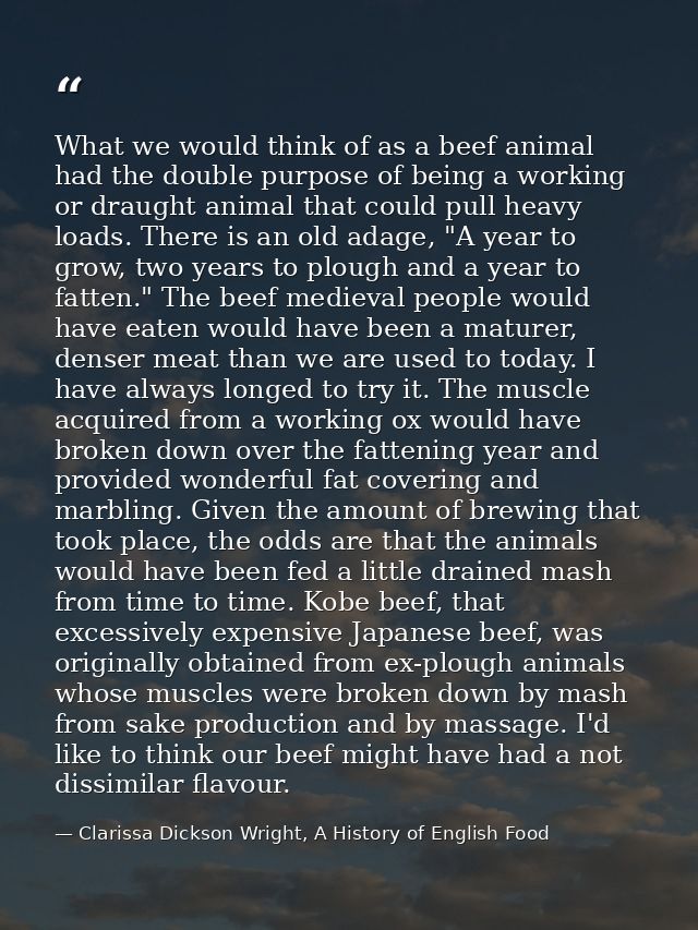 What we would think of as a beef animal had the double purpose of being a working or draught animal that could pull heav — Clarissa Dickson Wright, A History of English Food