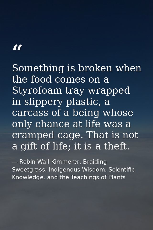 Something is broken when the food comes on a Styrofoam tray wrapped in slippery plastic, a carcass of a being whose only — Robin Wall Kimmerer, Braiding Sweetgrass: Indigenous Wisdom, Scientific Knowledge, and the Teachings of Plants