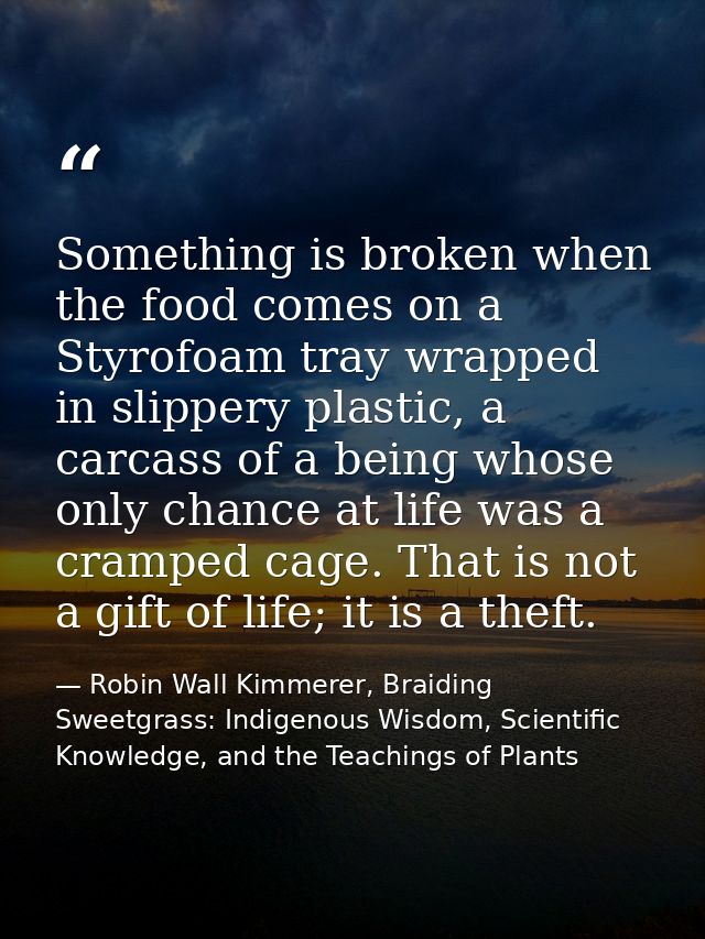 Something is broken when the food comes on a Styrofoam tray wrapped in slippery plastic, a carcass of a being whose only — Robin Wall Kimmerer, Braiding Sweetgrass: Indigenous Wisdom, Scientific Knowledge, and the Teachings of Plants