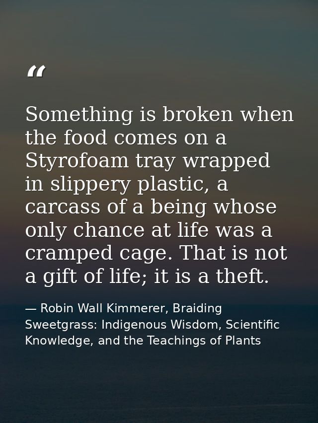 Something is broken when the food comes on a Styrofoam tray wrapped in slippery plastic, a carcass of a being whose only — Robin Wall Kimmerer, Braiding Sweetgrass: Indigenous Wisdom, Scientific Knowledge, and the Teachings of Plants