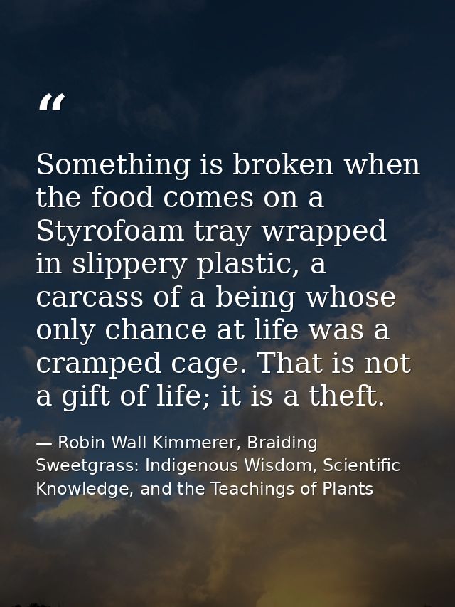 Something is broken when the food comes on a Styrofoam tray wrapped in slippery plastic, a carcass of a being whose only — Robin Wall Kimmerer, Braiding Sweetgrass: Indigenous Wisdom, Scientific Knowledge, and the Teachings of Plants