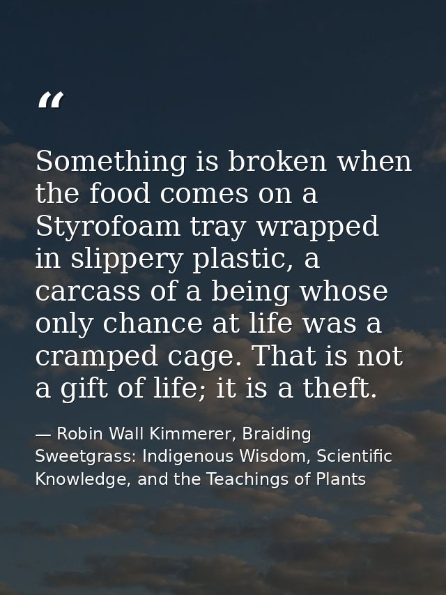 Something is broken when the food comes on a Styrofoam tray wrapped in slippery plastic, a carcass of a being whose only — Robin Wall Kimmerer, Braiding Sweetgrass: Indigenous Wisdom, Scientific Knowledge, and the Teachings of Plants