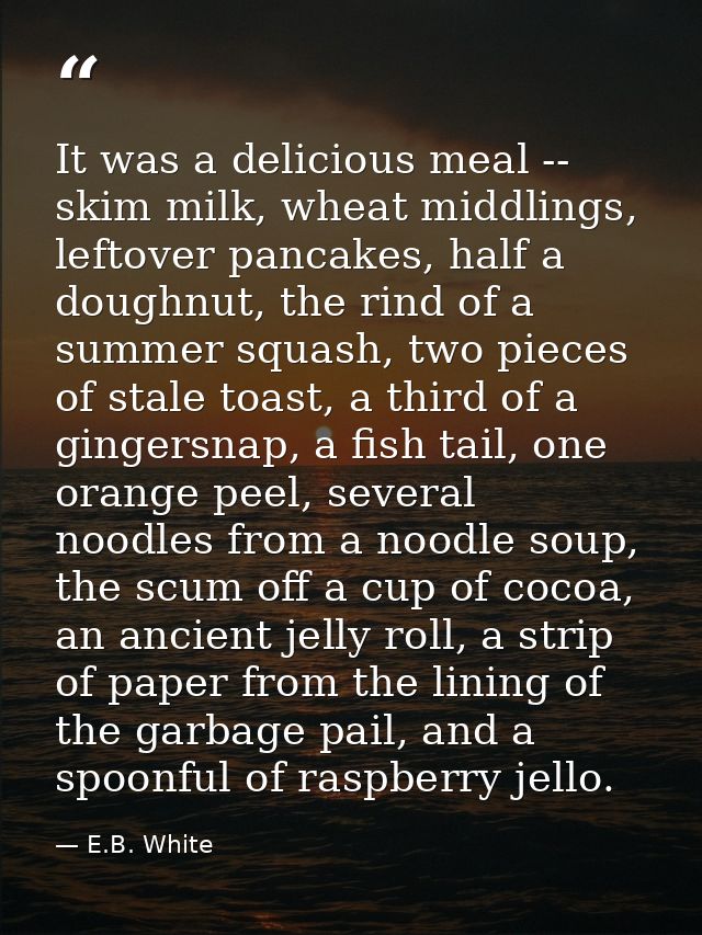 It was a delicious meal -- skim milk, wheat middlings, leftover pancakes, half a doughnut, the rind of a summer squash,  — E.B. White