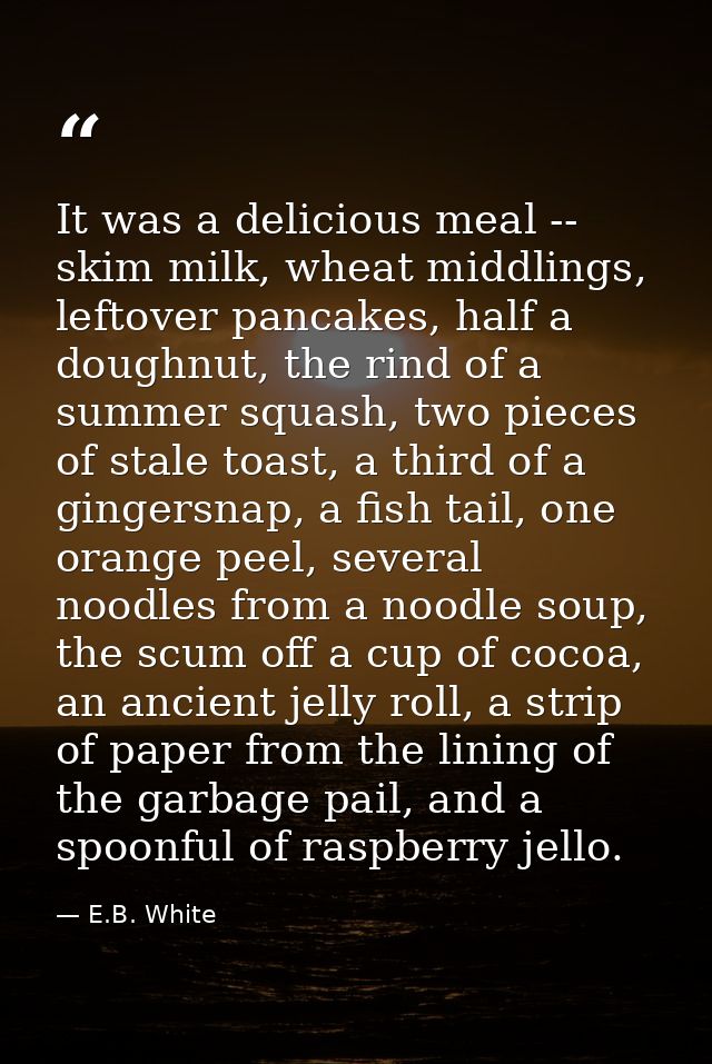 It was a delicious meal -- skim milk, wheat middlings, leftover pancakes, half a doughnut, the rind of a summer squash,  — E.B. White
