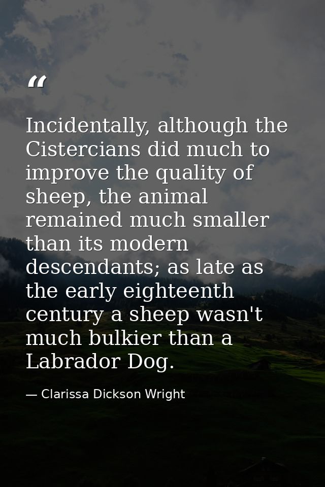 Incidentally, although the Cistercians did much to improve the quality of sheep, the animal remained much smaller than i — Clarissa Dickson Wright