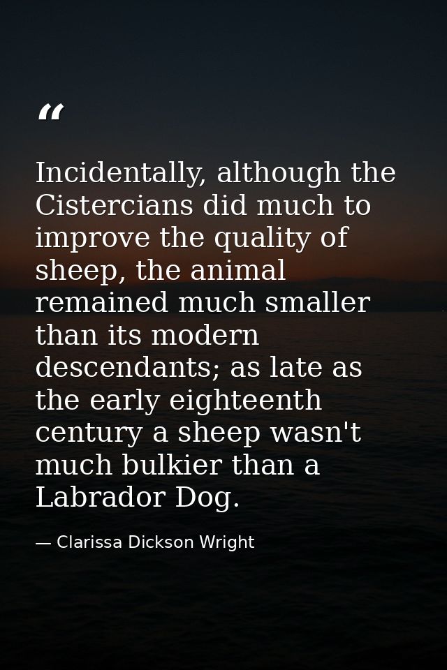 Incidentally, although the Cistercians did much to improve the quality of sheep, the animal remained much smaller than i — Clarissa Dickson Wright