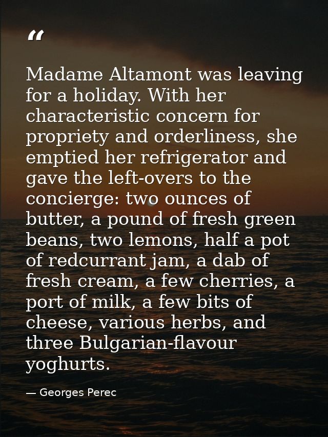 Madame Altamont was leaving for a holiday. With her characteristic concern for propriety and orderliness, she emptied he — Georges Perec