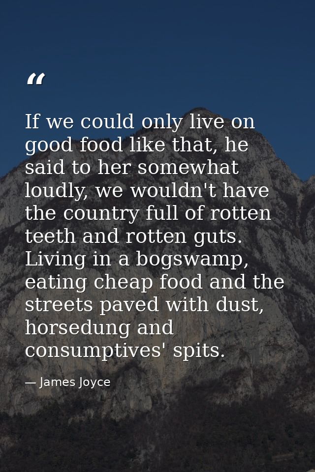 If we could only live on good food like that, he said to her somewhat loudly, we wouldn't have the country full of rotte — James Joyce