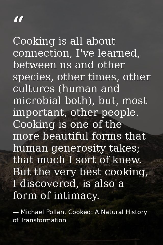 Cooking is all about connection, I've learned, between us and other species, other times, other cultures (human and micr — Michael Pollan, Cooked: A Natural History of Transformation
