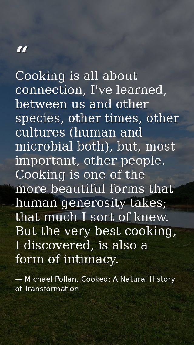 Cooking is all about connection, I've learned, between us and other species, other times, other cultures (human and micr — Michael Pollan, Cooked: A Natural History of Transformation