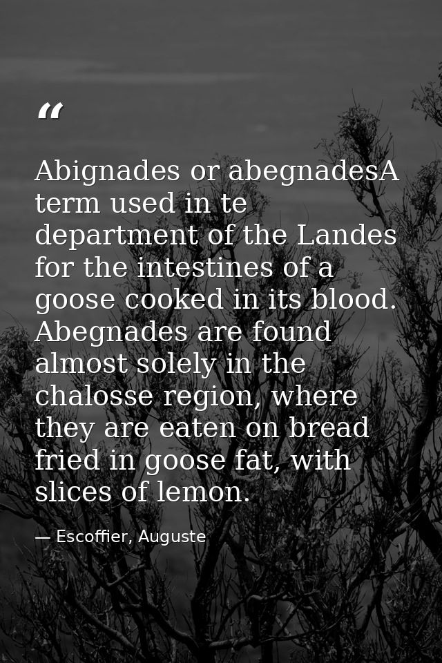 Abignades or abegnadesA term used in te department of the Landes for the intestines of a goose cooked in its blood. Abeg — Escoffier, Auguste