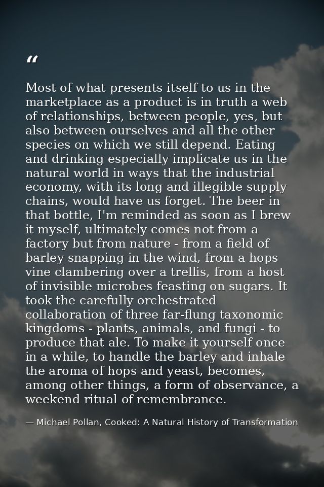 Most of what presents itself to us in the marketplace as a product is in truth a web of relationships, between people, y — Michael Pollan, Cooked: A Natural History of Transformation