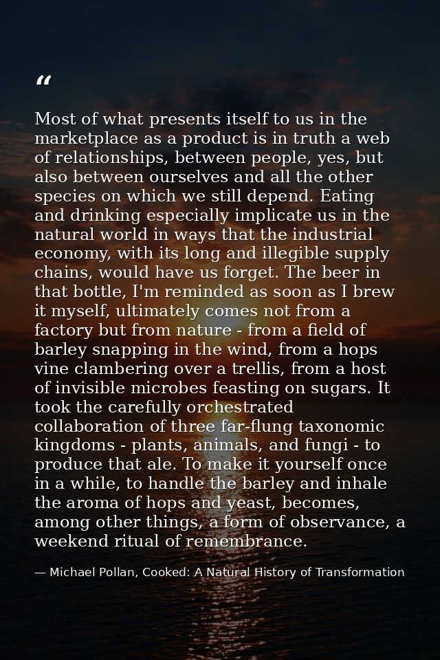 Most of what presents itself to us in the marketplace as a product is in truth a web of relationships, between people, y — Michael Pollan, Cooked: A Natural History of Transformation