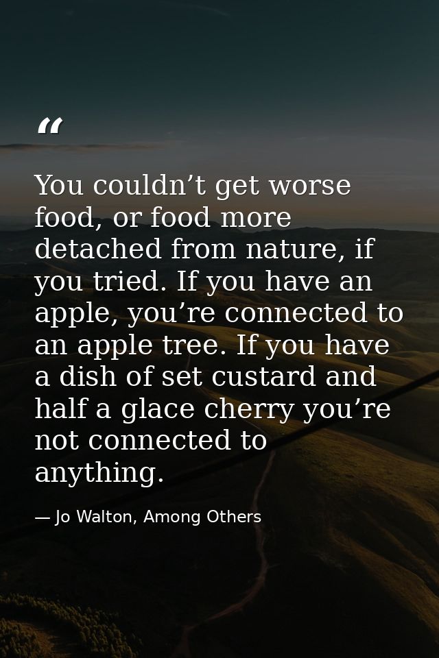 You couldn’t get worse food, or food more detached from nature, if you tried. If you have an apple, you’re connected to  — Jo Walton, Among Others