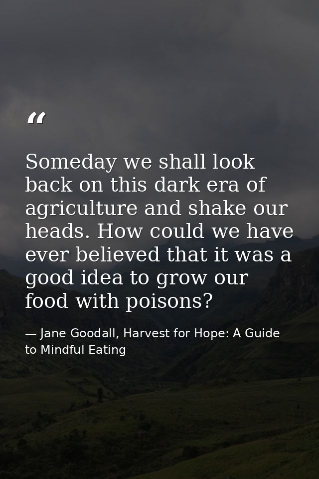 Someday we shall look back on this dark era of agriculture and shake our heads. How could we have ever believed that it  — Jane Goodall, Harvest for Hope: A Guide to Mindful Eating