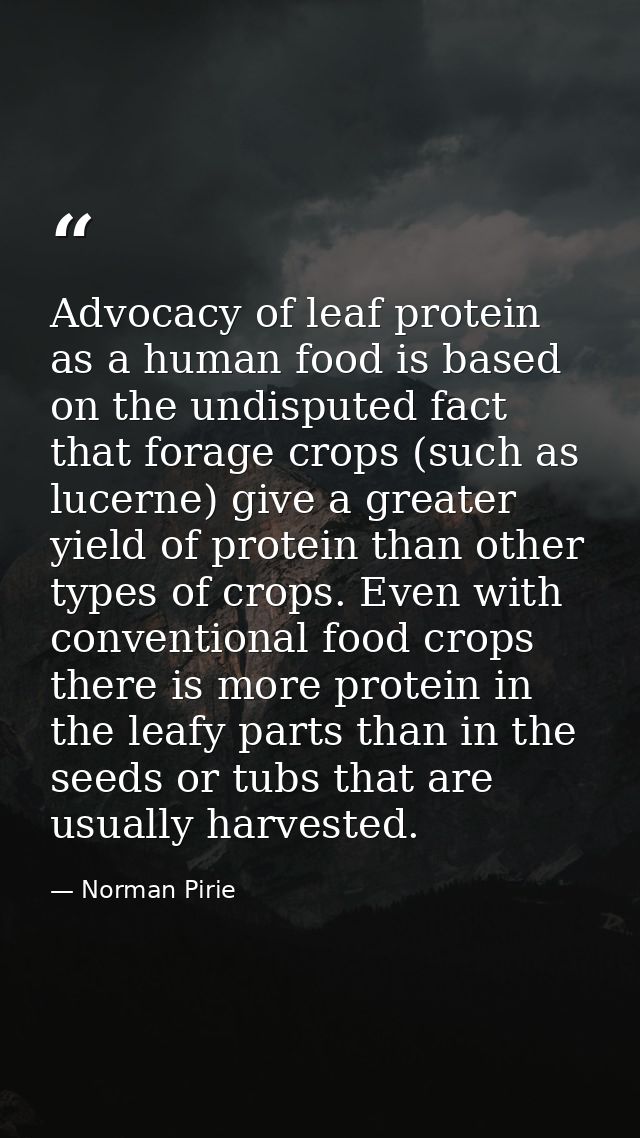 Advocacy of leaf protein as a human food is based on the undisputed fact that forage crops (such as lucerne) give a grea — Norman Pirie